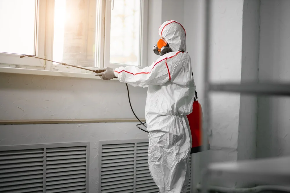 Professional mold remediation services in Blachly, OR